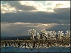 Winter in WNY