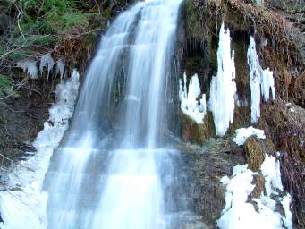 40 Falls